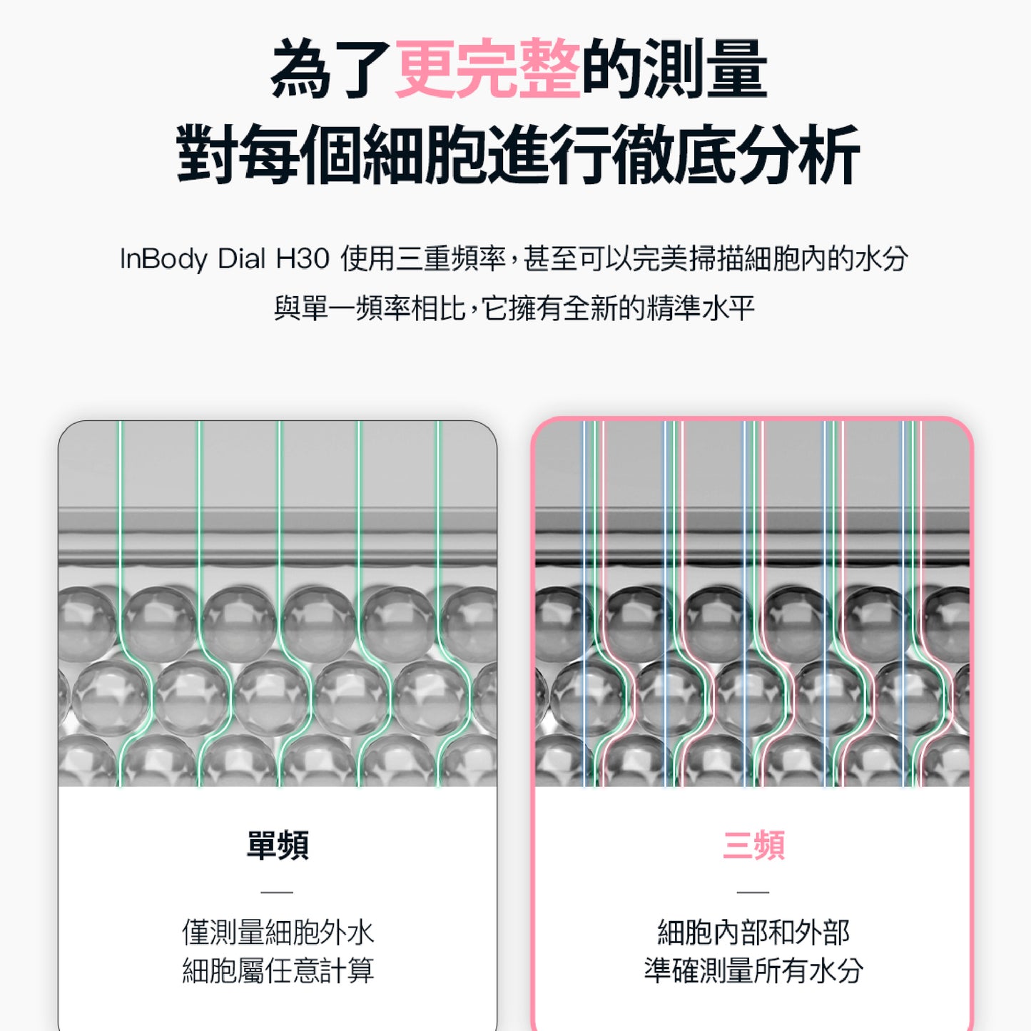 NEW! 新機上市✨ InBody H30NWi 無線網路型號體脂計|精準再升級